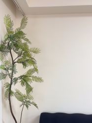 -小梨·OndaPro·专业脱毛连锁机构
