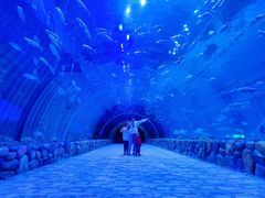 -华夏文旅海洋公园