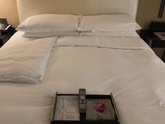 -成都尼依格罗酒店