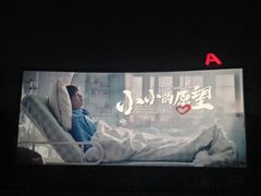 -枫花园汽车电影院(朝阳公园店)