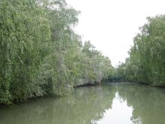 -大湾区中央湿地公园