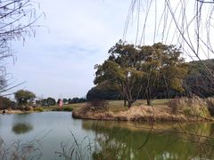 -无锡梅园公园