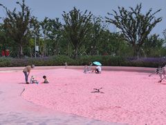 -上海山野camping·户外天幕烧烤·团建拓展营地