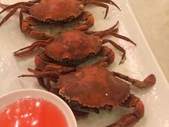 -御满江海鲜酒家(洛溪新城店)