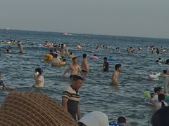 -日照海滨国家森林公园