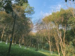 -杭州半山国家森林公园