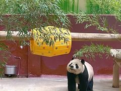 -杭州野生动物世界