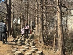 -信阳灵山风景区
