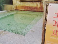 -春晖园度假酒店温泉