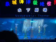-泉城欧乐堡海洋极地世界