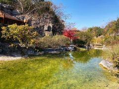 景点-上海吴淞炮台湾国家湿地公园