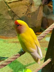 -酷嗒动物文化乐园(cutezoo西溪乐天城店)