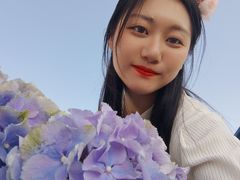 -荷兰花海