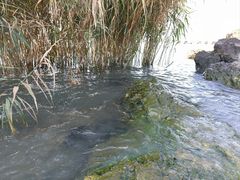 -上海市保健医疗中心