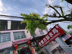 -南山老地方泉水鸡(南山店)