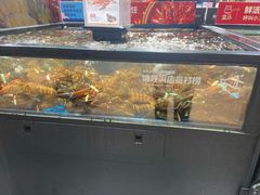 波士顿龙虾-盒马鲜生(曜一城店)