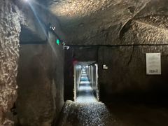 -徐州龟山景区