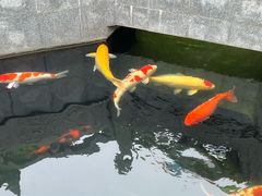 -西安市广仁寺