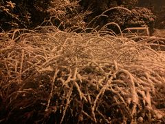 -金孔雀温泉旅游度假村