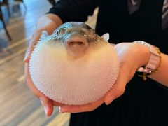 -永安鱼庄·镇江菜(丁卯店)