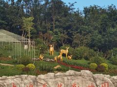-大连森林动物园