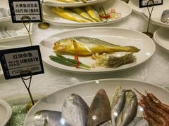 -阿毛饭店·正宗宁波菜(儿童公园旗舰店)