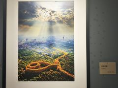 -南京书画院金陵美术馆