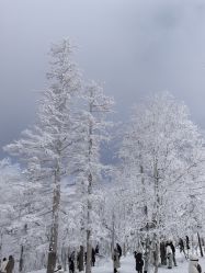 -大秃顶子山