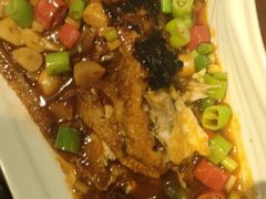 -中国坊中餐厅(石家庄希尔顿酒店)