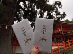 -奈良公园