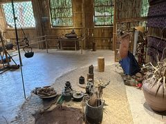 -西双版纳原始森林公园
