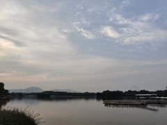 -石家庄市植物园
