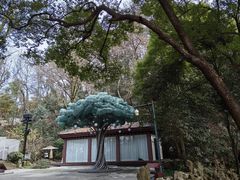 -杭州黄龙洞