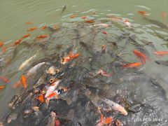 -桑干河大峡谷旅游区