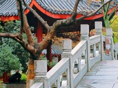 -堤角公园