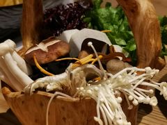 -掂档潮汕牛肉火锅(沈阳万象城店)