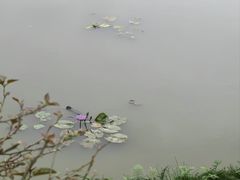 -沙美村