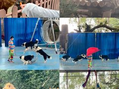 -泉州海丝野生动物世界