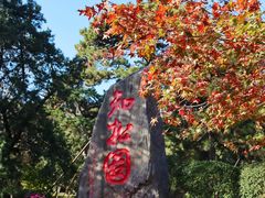 -香山公园