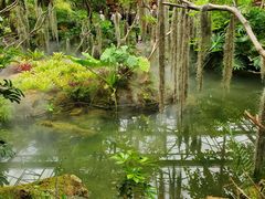 -南通洲际绿博园