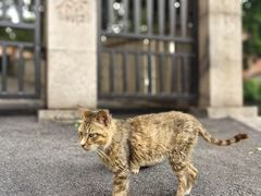 -鼓浪屿·八卦楼