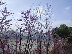 -去吃小龙虾·江湖菜·烧烤(南滨路店)