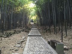-穹窿山景区