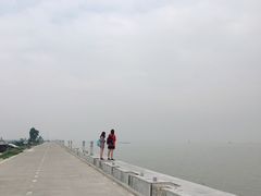 -崖口煲仔饭