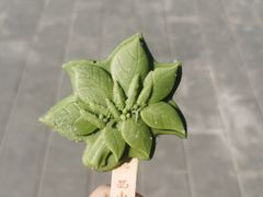 -八大处公园