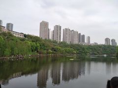 -重庆彩云湖湿地公园
