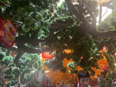 -徽镇小厨·经典徽菜(十里河店)
