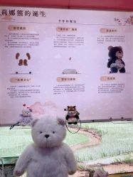 -TeddyTales莉娜熊(国贸店)