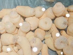 -龙宴海鲜城(经中路店)