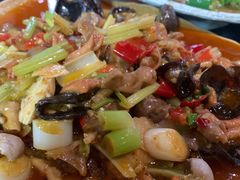 -青城甲(青城山店)